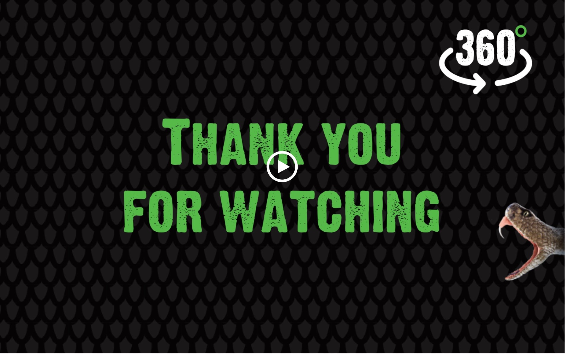 Chapter 5 – Closing large video thumbnail; green “Thank you” text with striking snake head on right