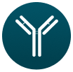  IgG antibody icon