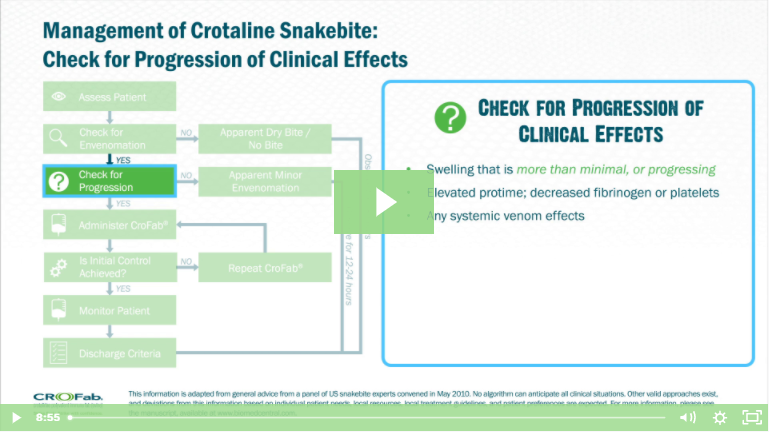 Management of Crotaline Snakebite: Unified Treatment Algorithm – Dr. Spencer Greene video thumbnail