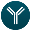 IgG antibody icon