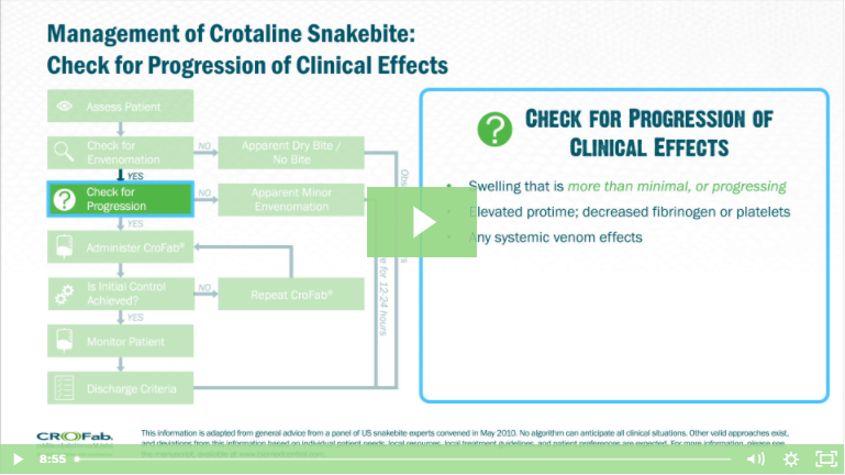 Management of Crotaline Snakebite Image