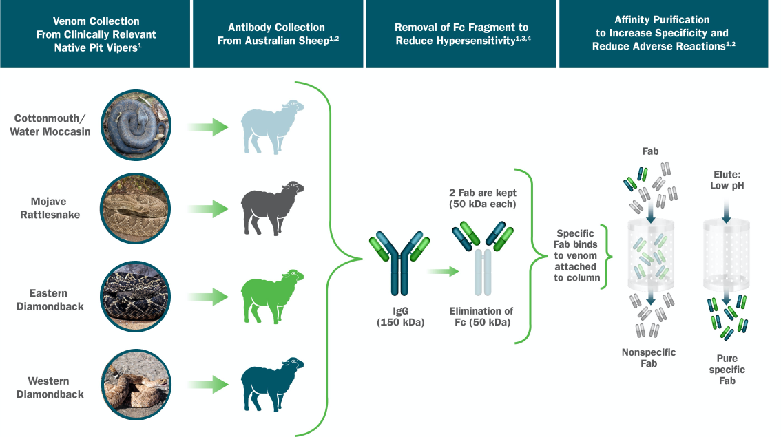 Steps of the manufacturing process for CroFab